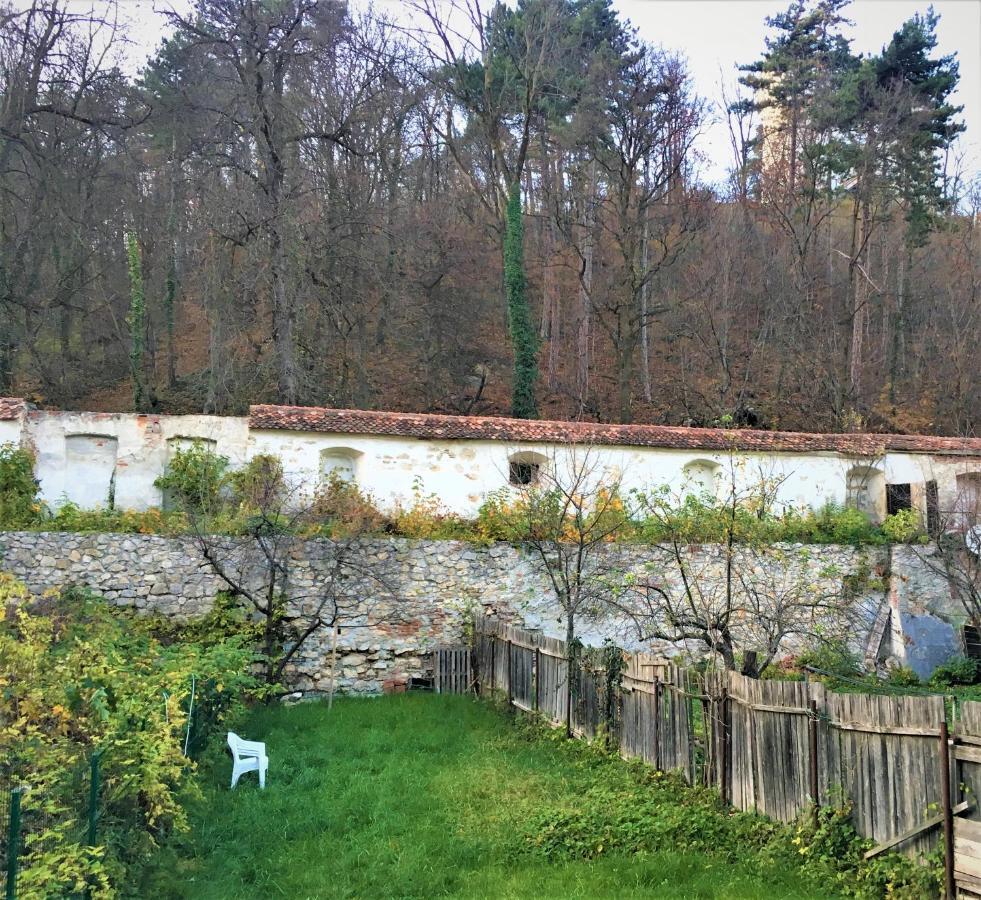 White Wolf Apartament Brașov